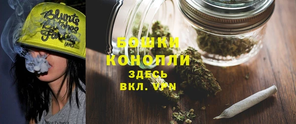 трава Тайга
