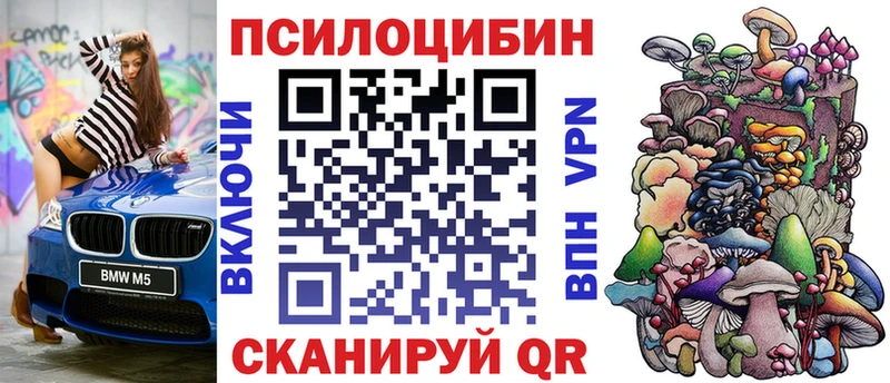 kraken сайт  Когалым  Галлюциногенные грибы Psilocybe  купить  