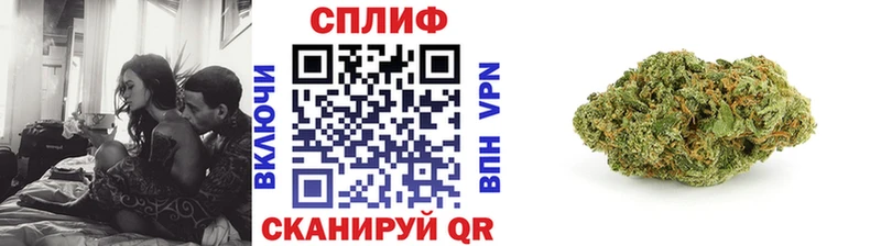 Марихуана сатива  Когалым 
